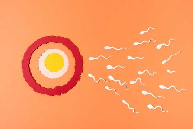 Развитие яйцеклеток: от первичной до способной к оплодотворению