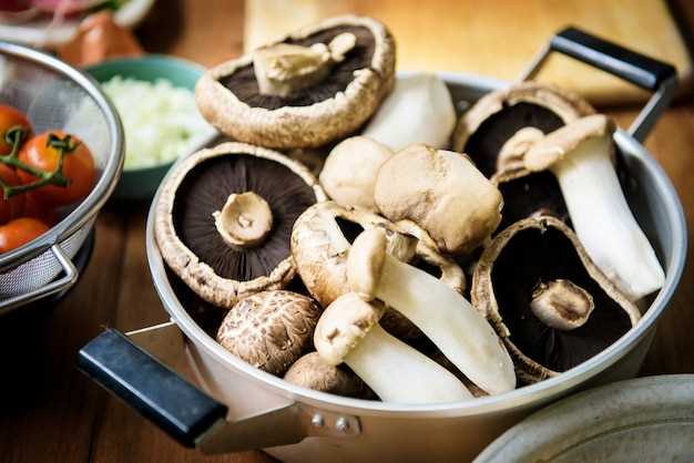 Информация о наиболее распространенных видов грибов, способных вызвать ботулизм