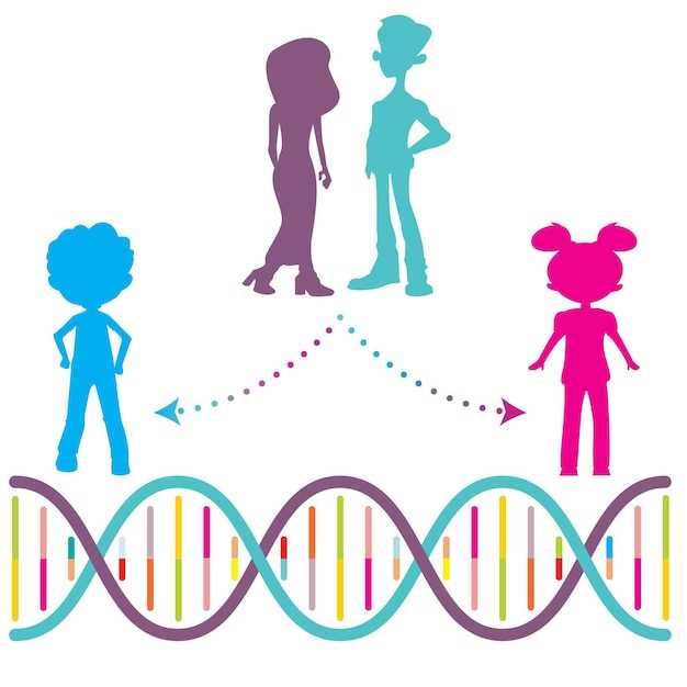 Влияние генетики на наследование Y-хромосомы